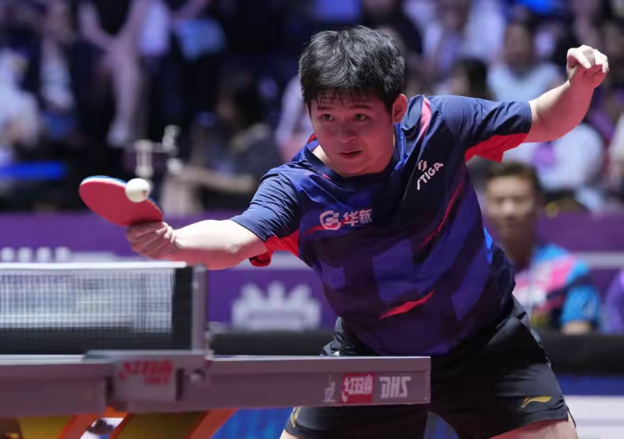 波兰队绝杀法国队,樊振东关键制胜 波兰队绝杀法国队,樊振东关键制胜