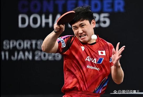 法国队翻盘瑞典队,张本智和关键制胜 法国队翻盘瑞典队,张本智和关键制胜