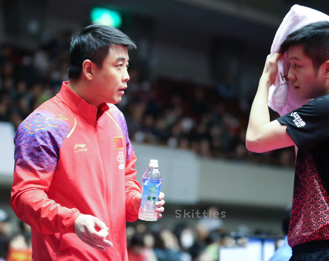 德国乒乓球队完胜英国乒乓球队,王皓关键制胜 德国乒乓球队完胜英国乒乓球队,王皓关键制胜