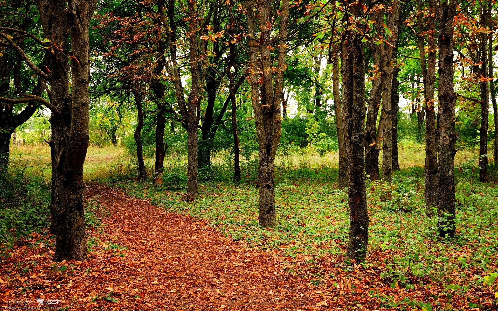 意甲焦点战启示录,从爱尔兰生死战取胜威尔士看足球的唯一性魅力