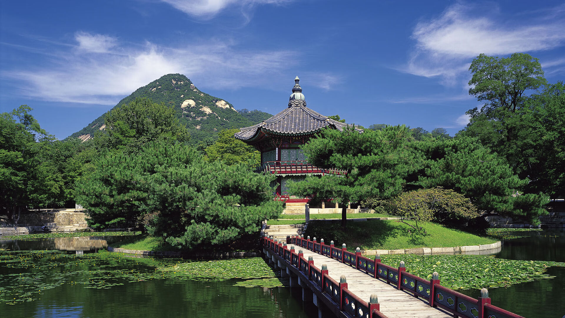 赛道上的命运逆转,奥地利翻盘巴西的F1街道赛焦点战