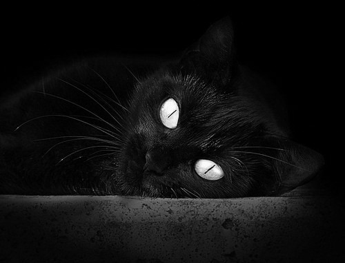 魔术对阵太阳，贝恩压力下完成爆发，逆境中绽放的篮球艺术